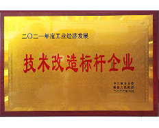 2021技術改造標桿企業(yè)